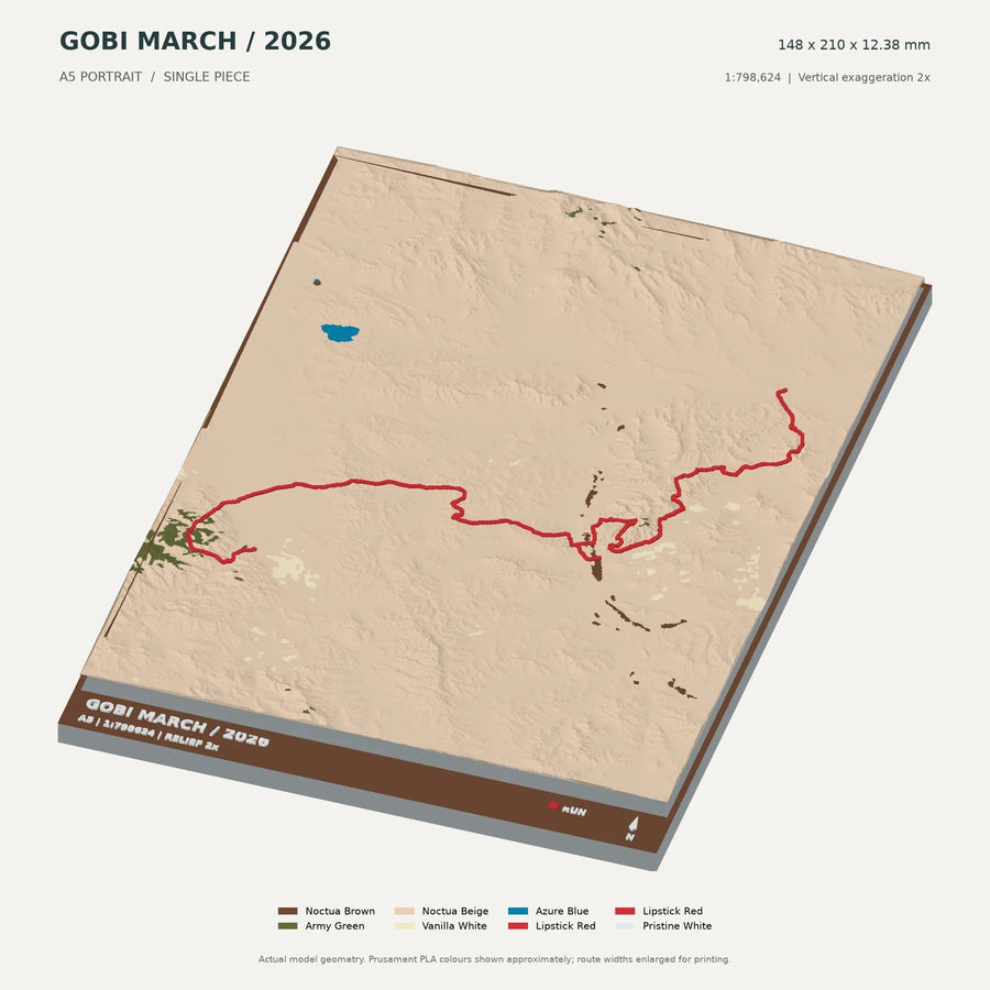 Gobi March — 3D Route Artwork — digital terrain model preview
